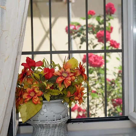 Krassi Apartment, Agios Mattheos Appartement *
