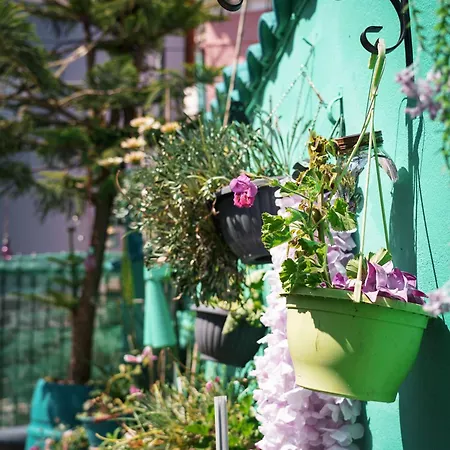 Appartamento Krassi Apartment, Agios Mattheos