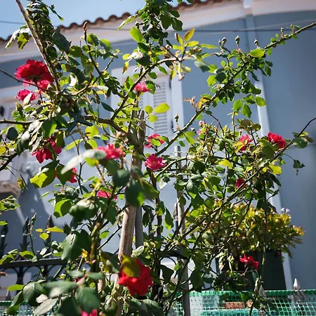 Krassi Apartment, Agios Mattheos Appartamento *