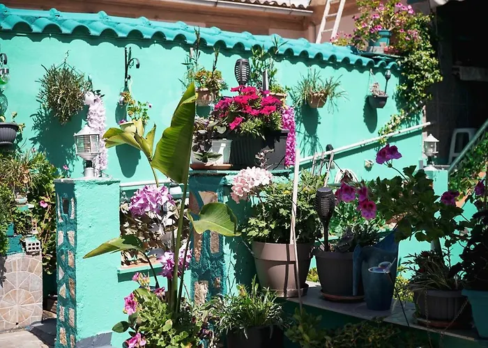 アパート Krassi Apartment, Agios Mattheos