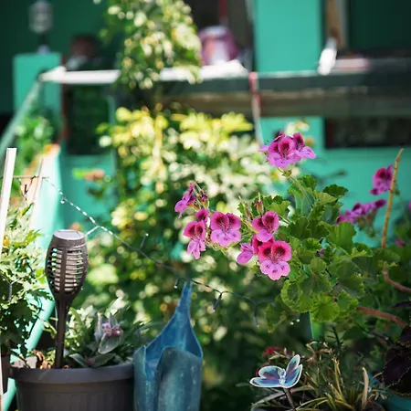 Krassi Apartment, Agios Mattheos