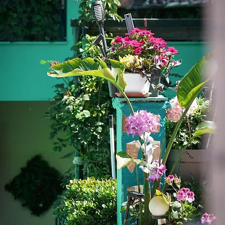 Krassi Apartment, Agios Mattheos * Ágios Matthaíos